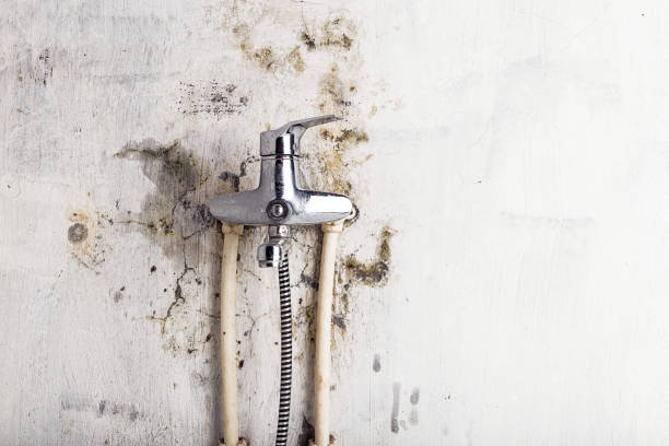 Best HVAC Mold Remediation in Pinewood Estates, TX
