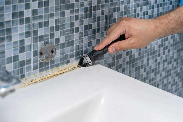 Best Health and Safety Mold Remediation in Pinewood Estates, TX